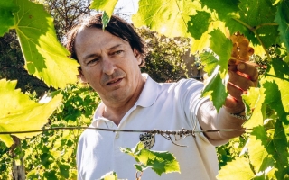 Vina Marjan Simčič Domain - pirahotel.si